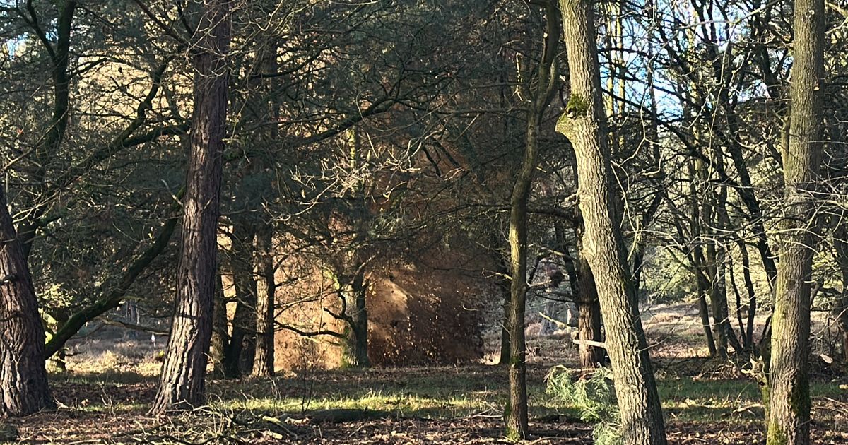 EOD vernietigt explosieven na vondst in woning in Tienray: dit zijn de beelden