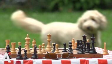 Volgend jaar geen buurtbudgetten meer, gemeente wil regeling opnieuw inrichten