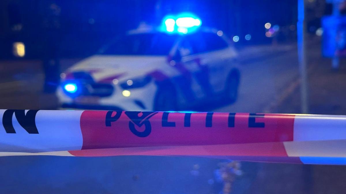 Vrouw zwaar mishandeld in woning Mijehof, politie tasert man bij aanhouding
