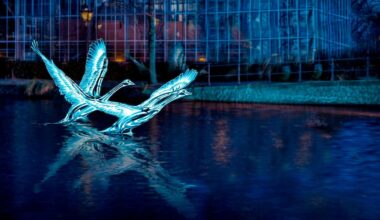 Extra controles op het water vanwege grote drukte bij Light Festival