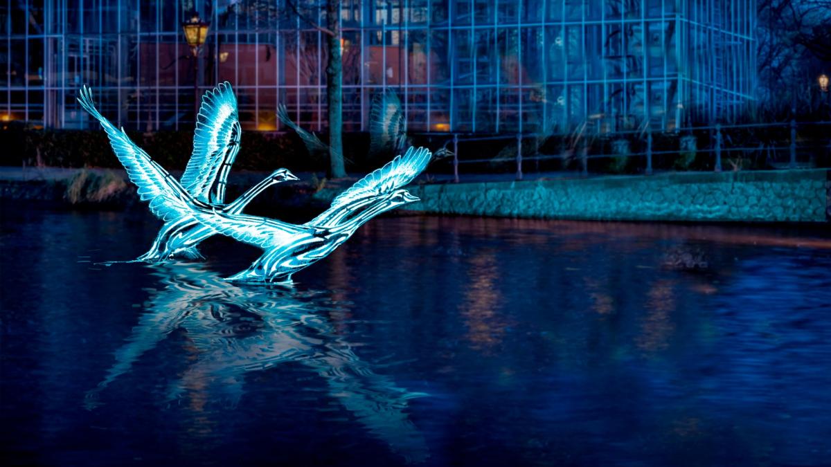 Extra controles op het water vanwege grote drukte bij Light Festival