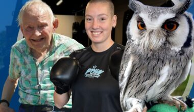 Deze video's van Omrop Fryslân gingen in 2025 viral