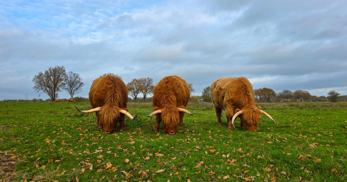 Winter is ver weg, mogelijk warmterecord op komst
