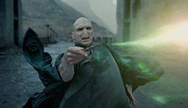 'Harry Potter'-theorie: waarom Voldemorts obsessie zijn ondergang werd