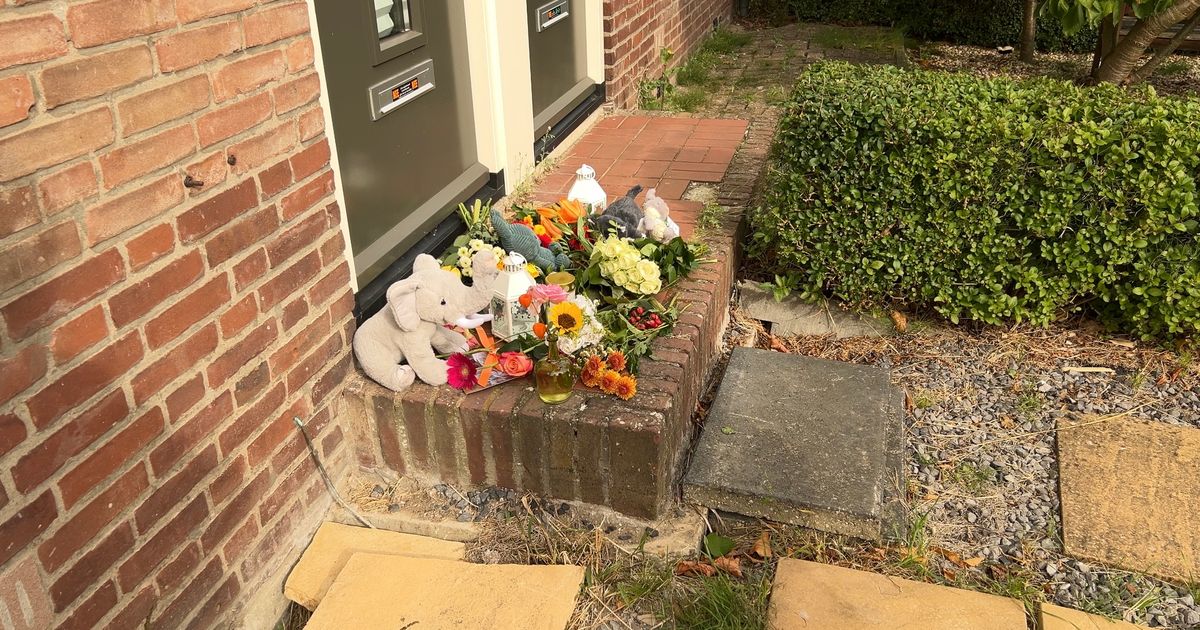 Waarom doodde Kelly haar eigen zoontje (9)? ‘Dit is ook voor mijzelf niet te verklaren’