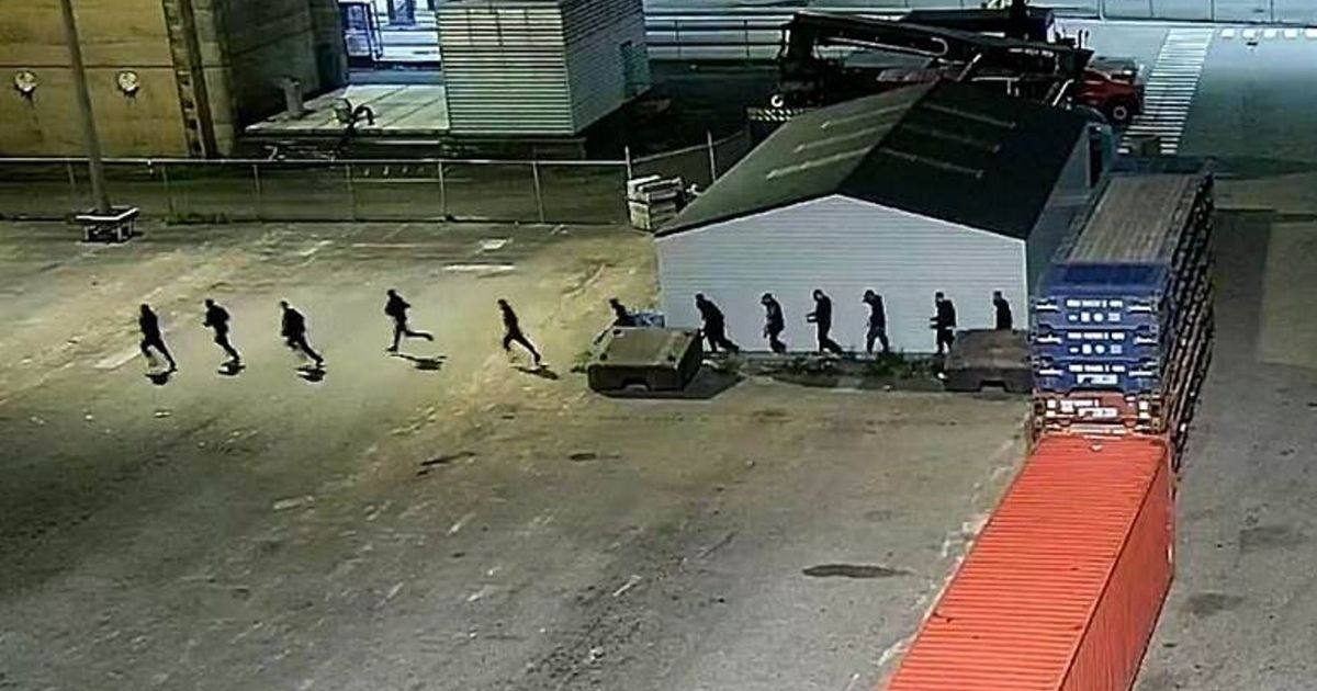 Nieuwe maatregel moet het nóg moeilijker maken voor drugsuithalers in de haven