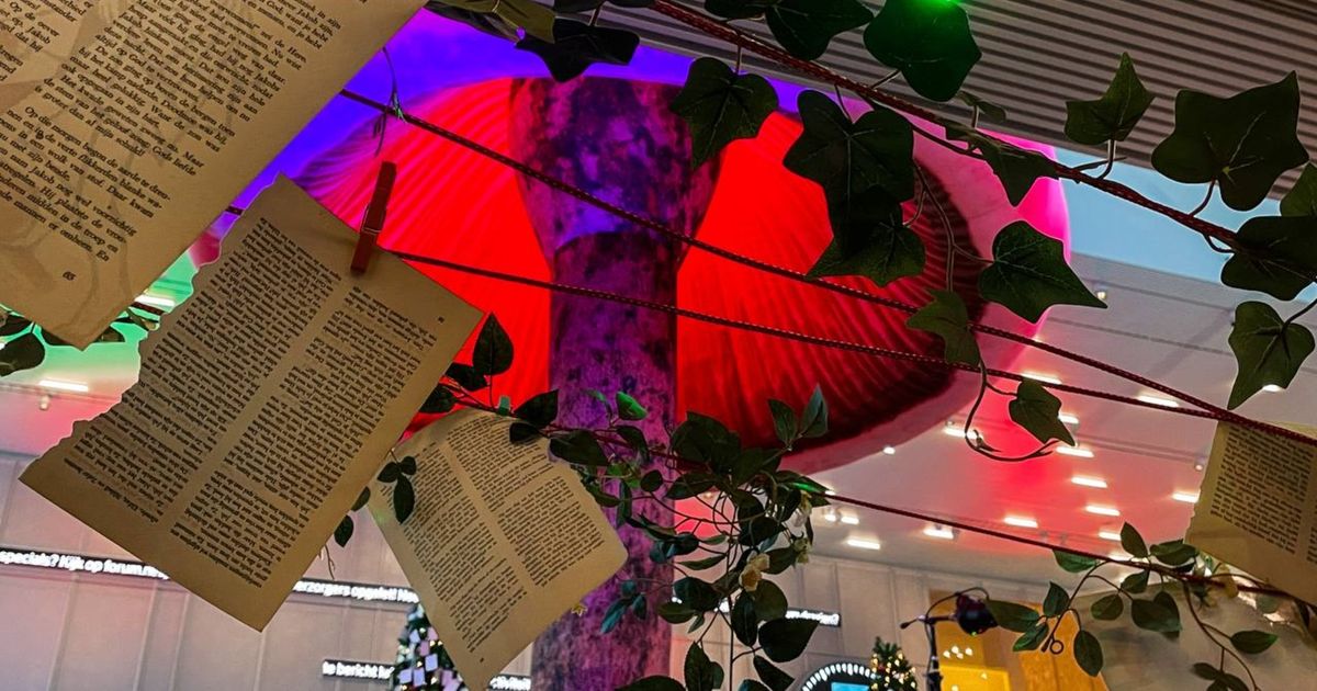 Tussen reusachtige paddenstoelen en heksenbrouwsels: Forum verandert in Roald Dahls magische wereld