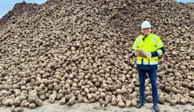 Made in Grunn: Het witte goud uit de Cosun-fabriek in Hoogkerk