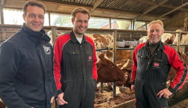 Beste fokkers van Nederland: de Pinkerts zijn koeienfluisteraars