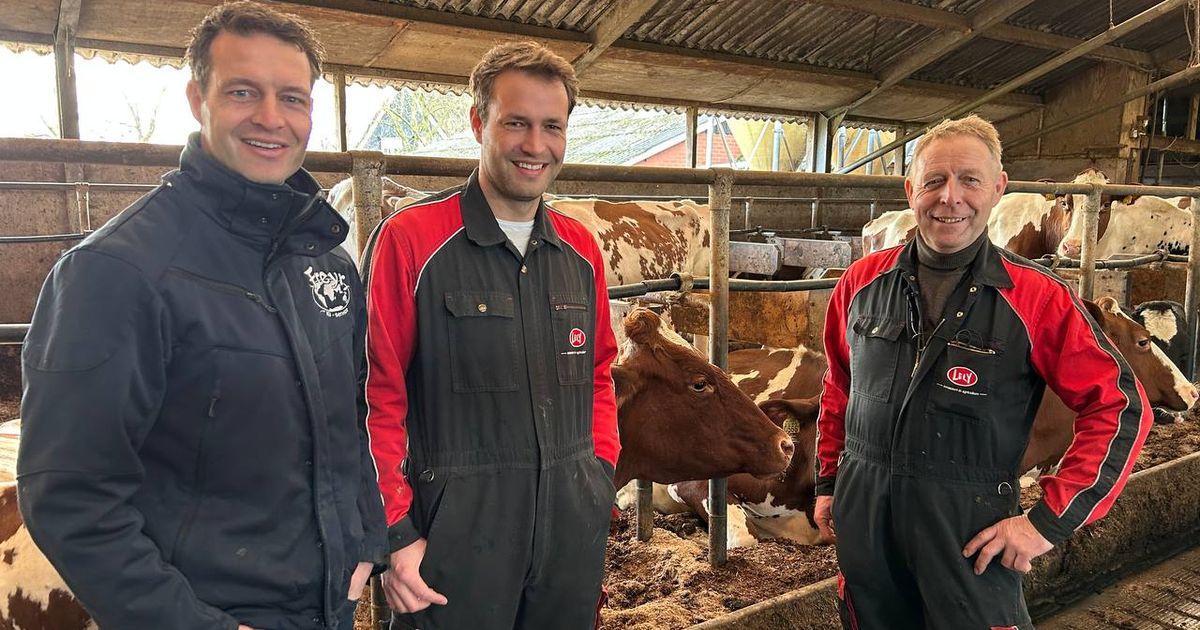 Beste fokkers van Nederland: de Pinkerts zijn koeienfluisteraars