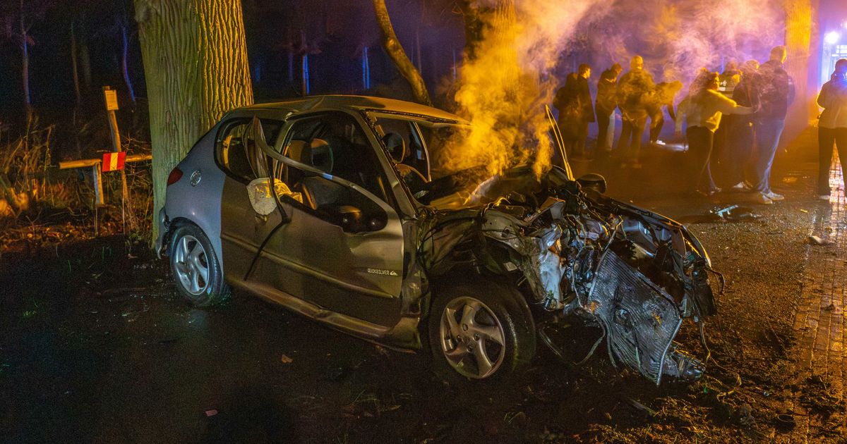 Auto botst tegen boom en vliegt in brand bij Rijs, nog onduidelijk wie bestuurder was