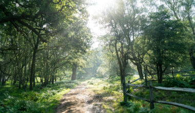 FABELACHTIG, een van de populairste series van deze tijd gaat in januari verder met een dramatisch nieuw seizoen op Netflix