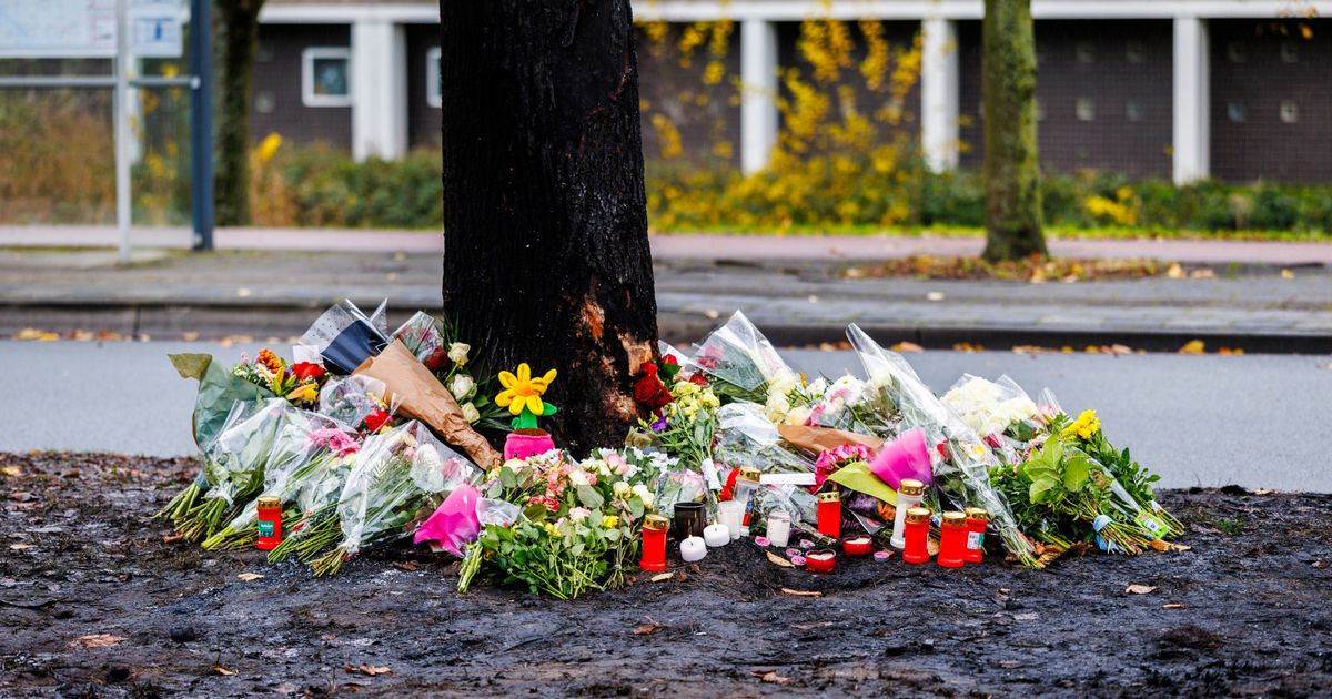 Families Mara en Doris 'intens verdrietig' na fataal ongeluk: Grond is onder onze voeten weggeslagen - Omroep West
