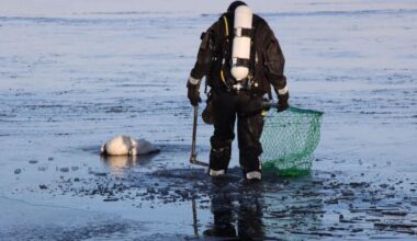 Brandweer redt zwanen • brand in monumentaal pand