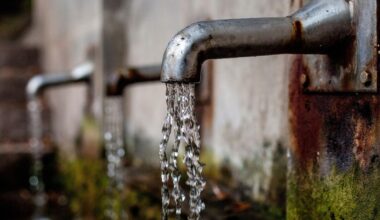 Lood in grond nog altijd probleem: zo weet je of het in je huis of tuin zit