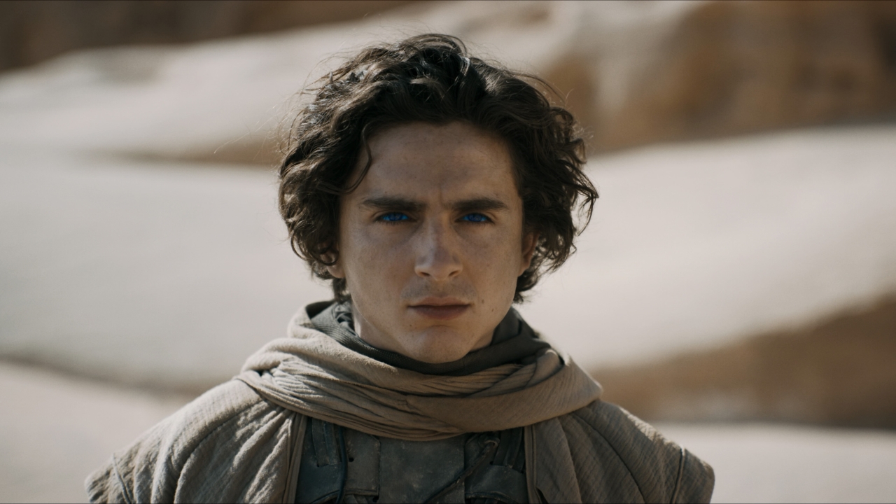 Timothée Chalamet gekroond tot "koning van de box office" met alweer een nieuw filmsucces