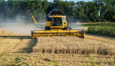 'eeuwige chemicaliën' in ontbijtgranen, beschuit en pepernoten