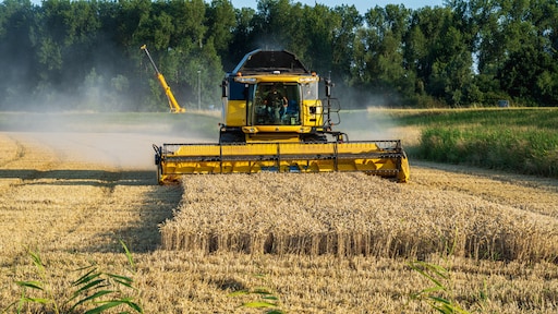 'eeuwige chemicaliën' in ontbijtgranen, beschuit en pepernoten