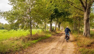 Het weerbericht laat een relatief warme dag zien met op veel plekken temperaturen tussen de 11 en 15 graden.