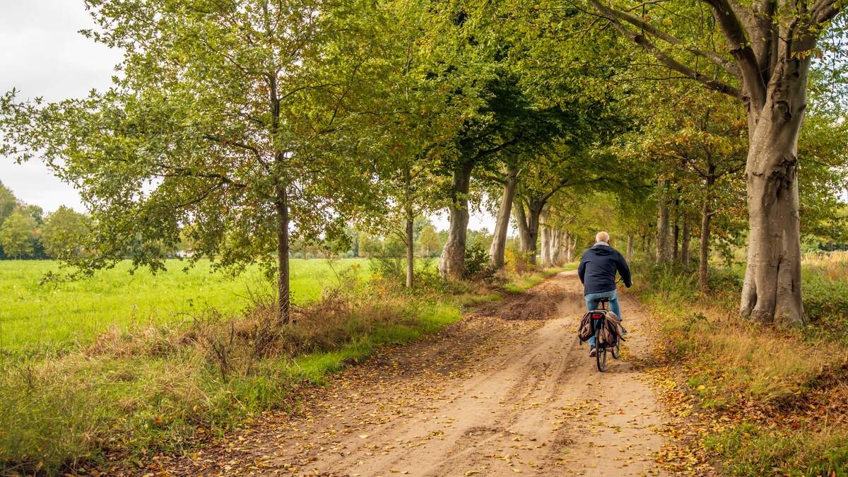 Het weerbericht laat een relatief warme dag zien met op veel plekken temperaturen tussen de 11 en 15 graden.