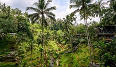Nederlander (41) in de boeien geslagen in Indonesië na flinke overlast op straat