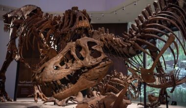 16.600 voetafdrukken in Boliviaanse Andes