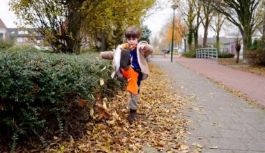 Zie jij een boom vanuit je huis? Zou moeten, vindt het RIVM