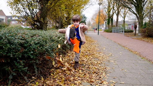 Zie jij een boom vanuit je huis? Zou moeten, vindt het RIVM