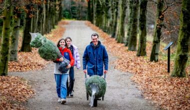 officieel de warmste 7 december ooit gemeten