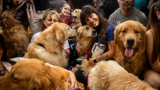 2397 golden retrievers bij elkaar in Argentijns park