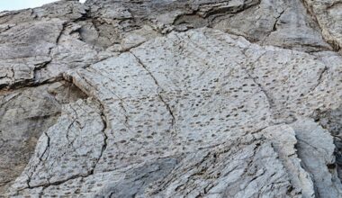 duizenden dino-voetafdrukken in Italiaanse Alpen