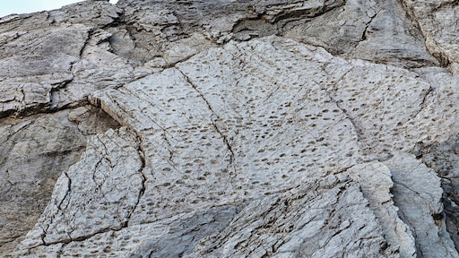 duizenden dino-voetafdrukken in Italiaanse Alpen