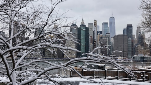 Hevige sneeuwval in New York, burgemeester roept op tot baby's maken