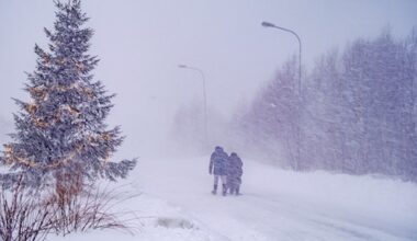 Drie doden en grote schade door sneeuwstorm in Zweden