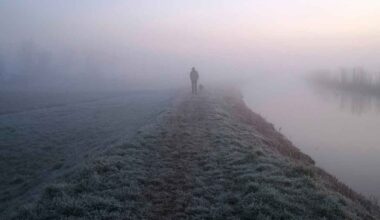 Ja, wandelen helpt tegen alzheimer. Dit is waarom
