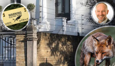 Zijn vrouw is bang voor vossen, dus laat een steenrijke zakenman zijn tuin omheinen met stroomdraad: ’Het lijkt wel een gevangenenkamp’