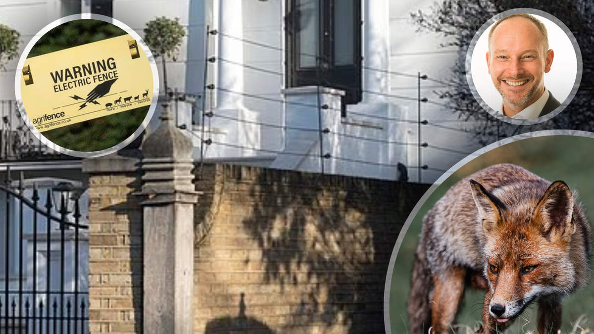 Zijn vrouw is bang voor vossen, dus laat een steenrijke zakenman zijn tuin omheinen met stroomdraad: ’Het lijkt wel een gevangenenkamp’