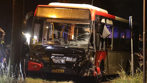 Jonge vrouw (21) omgekomen bij ongeluk met stadsbus in Steenbergen