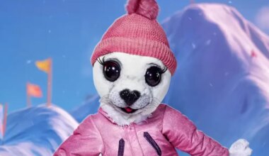 De Zeehond moet volgens The Masked Singer-kijkers déze BN'er zijn