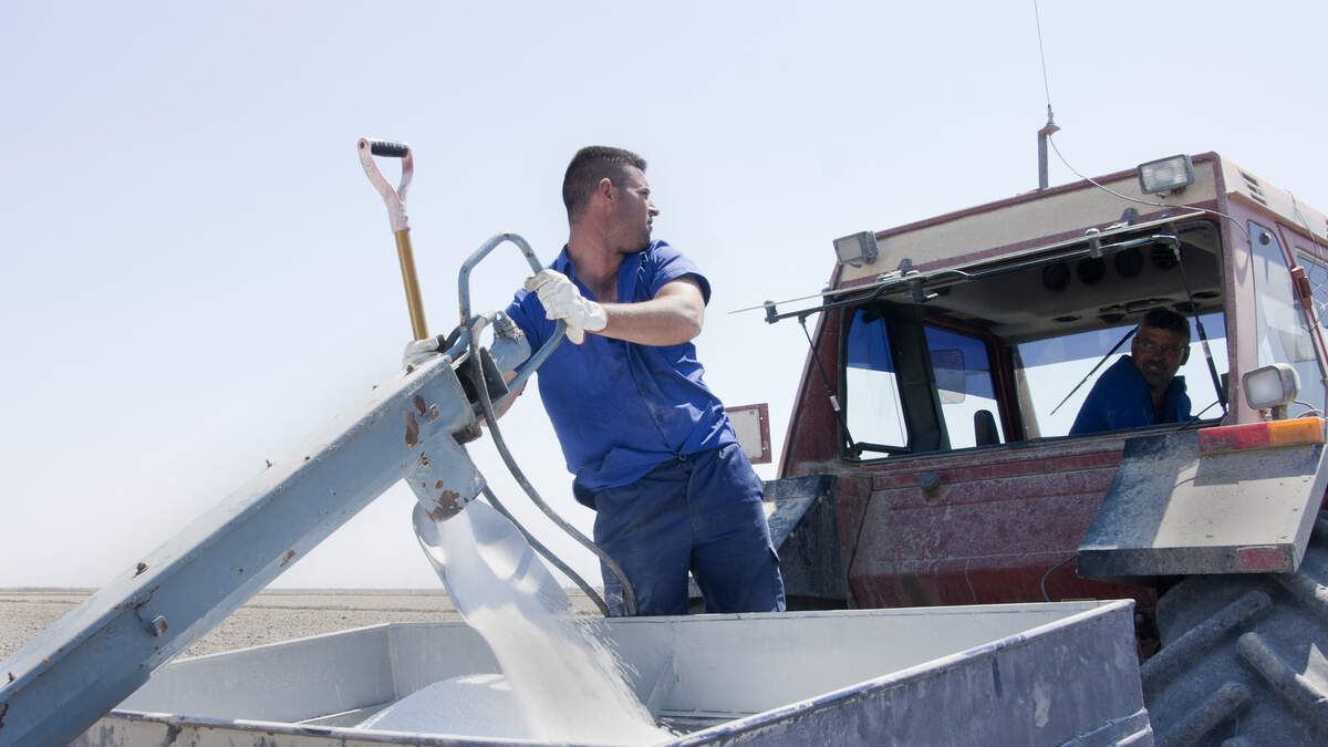 OCI mogelijk van de beurs voor notering in Abu Dhabi , de meeste Nederlandse banken zullen de handel in Abu Dhabi niet ondersteunen.