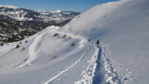Vier wandelaars omgekomen door lawine in Griekenland