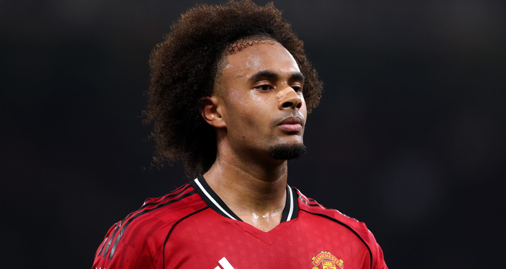 'Groen licht' voor transfer: Joshua Zirkzee keihard onderweg naar achterdeur Manchester United