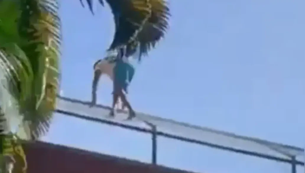 Leeuw doodt man in Braziliaanse dierentuin nadat hij verblijf inklimt