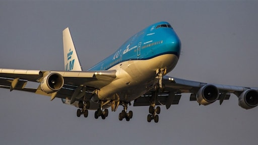 Rat aan boord KLM-vlucht naar Aruba, 250 KLM-passagiers gestrand