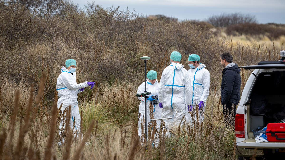 De politie en forensische diensten doen een groot sporenonderzoek in de duinen.