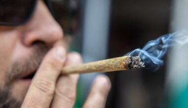 Stoned tijdens rijles? Instructeur en leerlingen gepakt met te veel THC in bloed