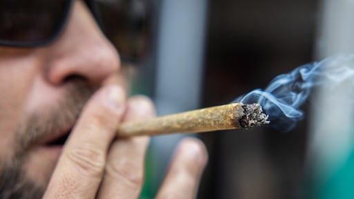 Stoned tijdens rijles? Instructeur en leerlingen gepakt met te veel THC in bloed