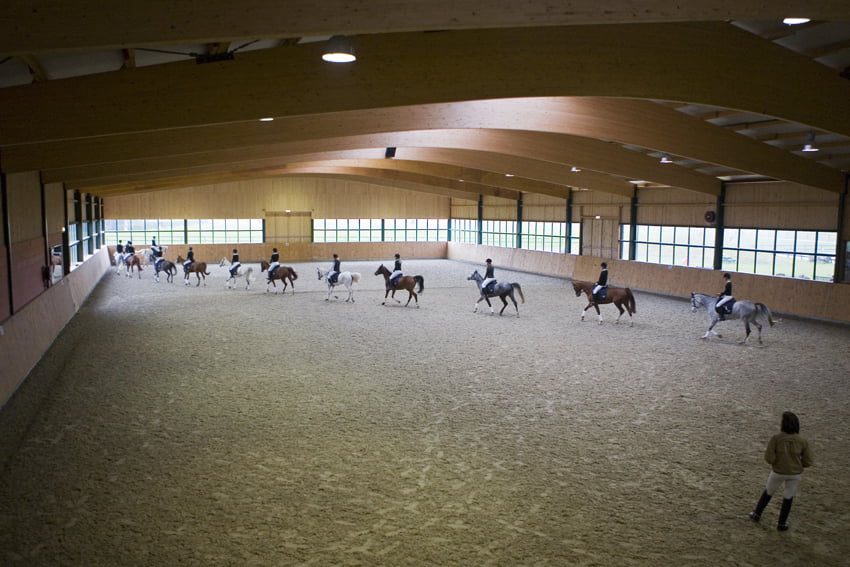 Belangrijke wijzigingen per 1 januari 2026 voor hippische ondernemers