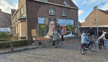 Sassenheimse wijk opgevrolijkt met muurschilderingen – De Teyding