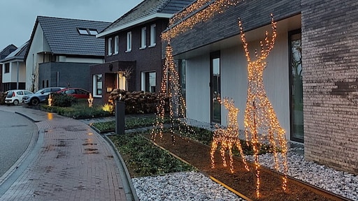 Absurd hoge temperatuur voor december: tot wel 14 graden